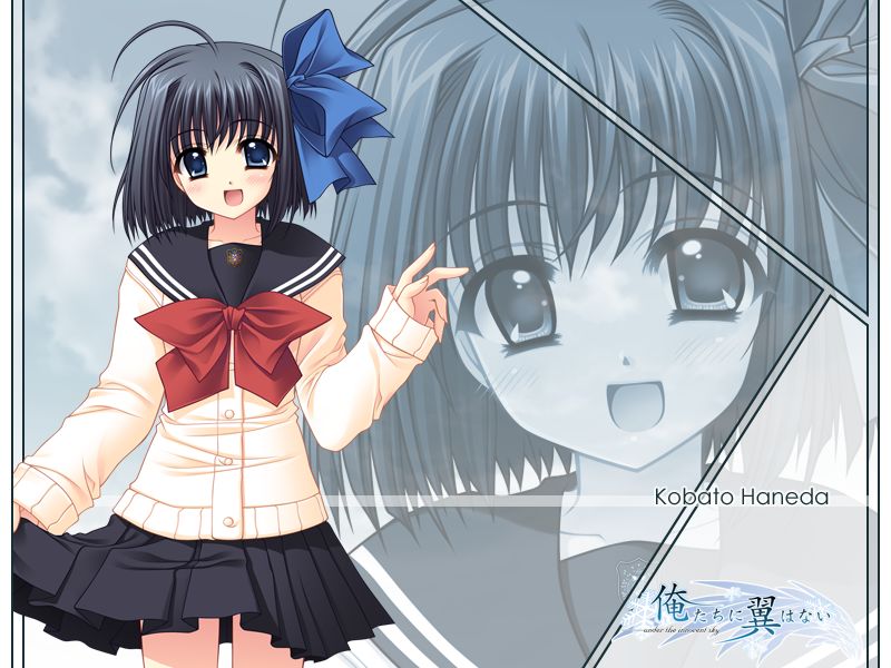 恋爱诊断之破损的羽翼