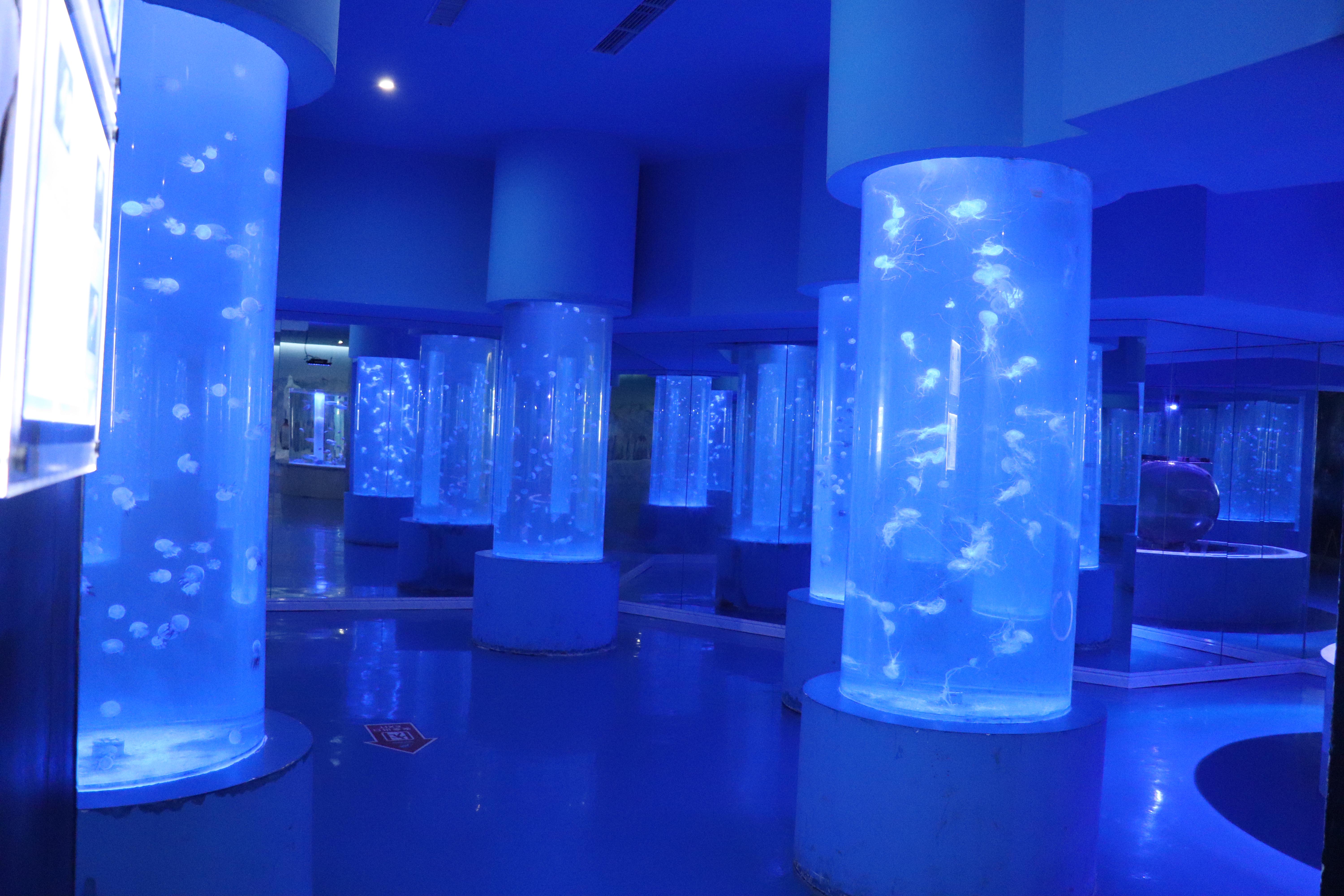 扬州极地海洋世界