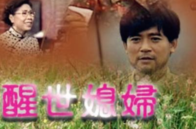 醒世媳妇