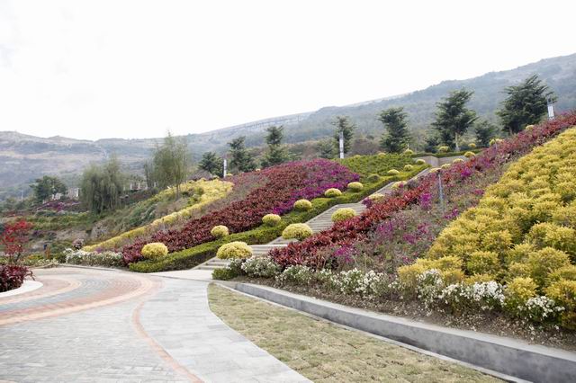  p data-id="gnzlm41lsc">阿署达花舞人间景区是攀枝花境内的景区