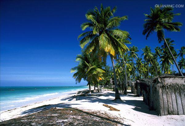  p>坦桑尼亚联合共和国(英文:the united republic of tanzania),简称