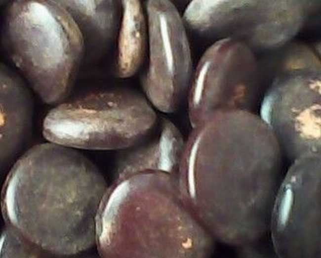 ="/item/九龙藤/2325704" data