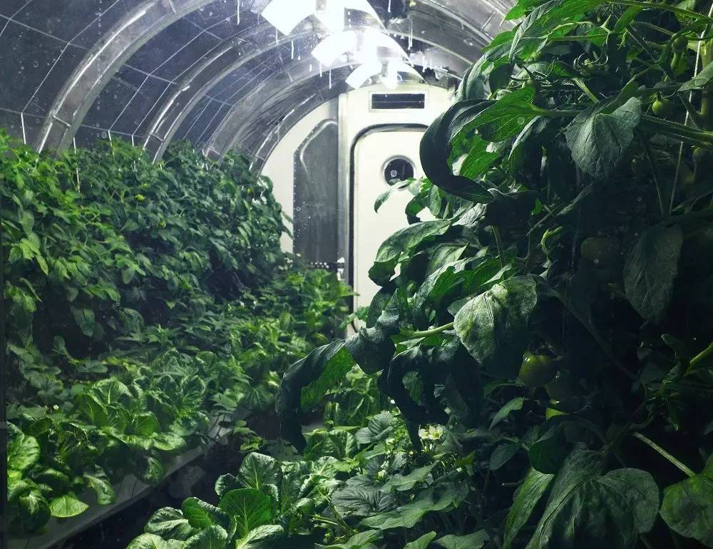 按地球的形式设计月球和火星温室 百科ta说