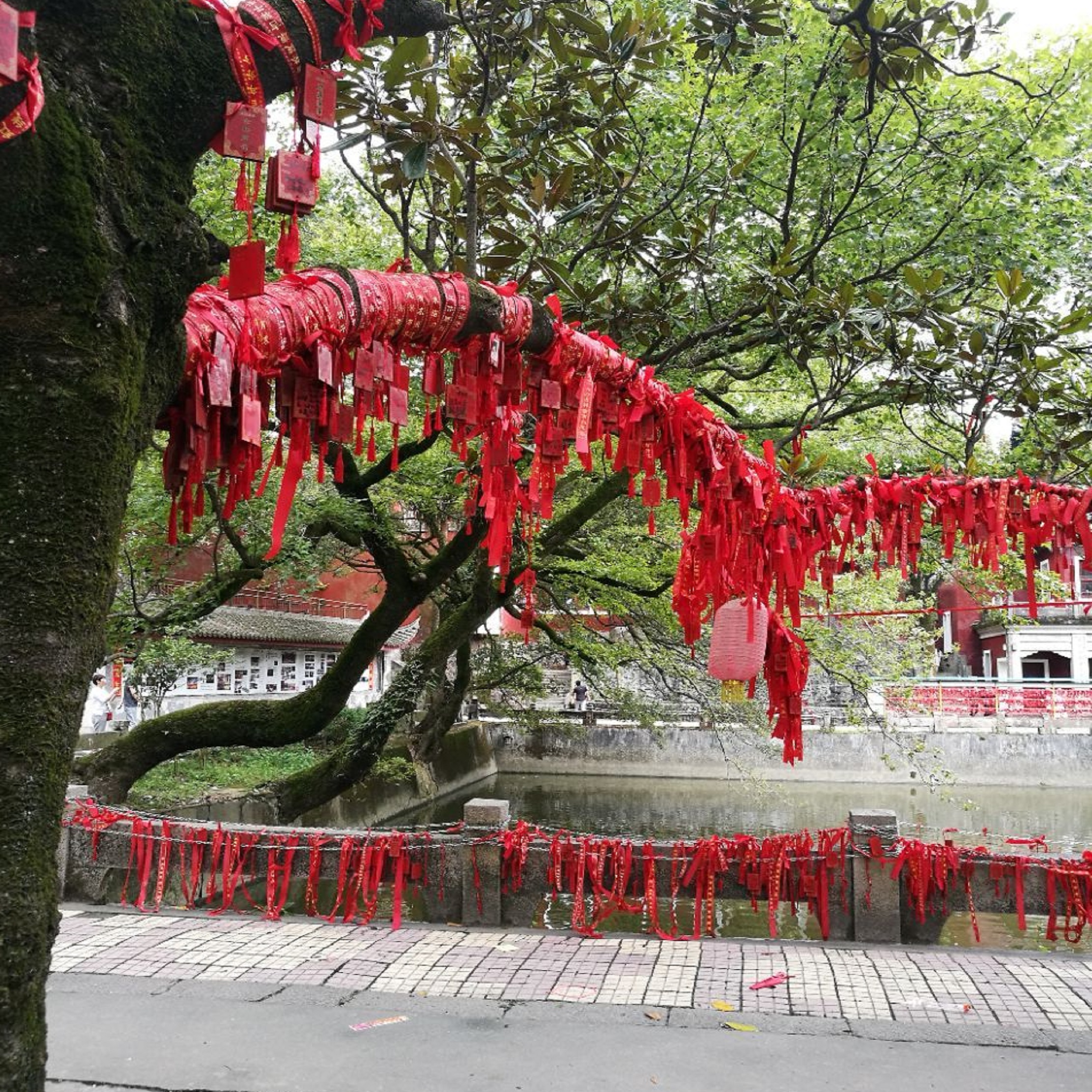 福州市涌泉寺