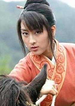 碧血剑（2007年窦智孔、黄圣依主演电视剧）_百度百科