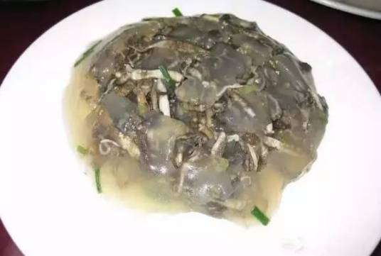 土丁冻_百度百科