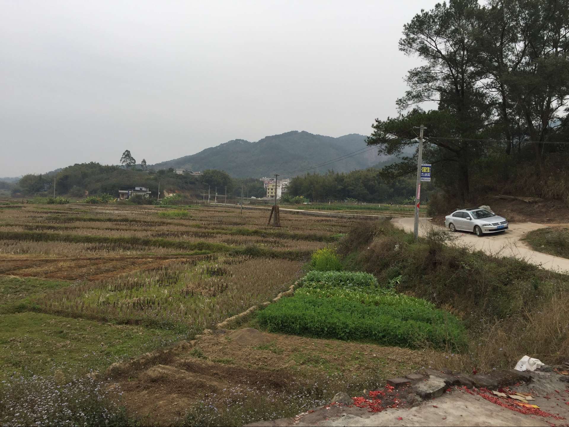 市/7260153" data-lemmaid="7260153">梧州市 /a>藤县天平镇下辖村