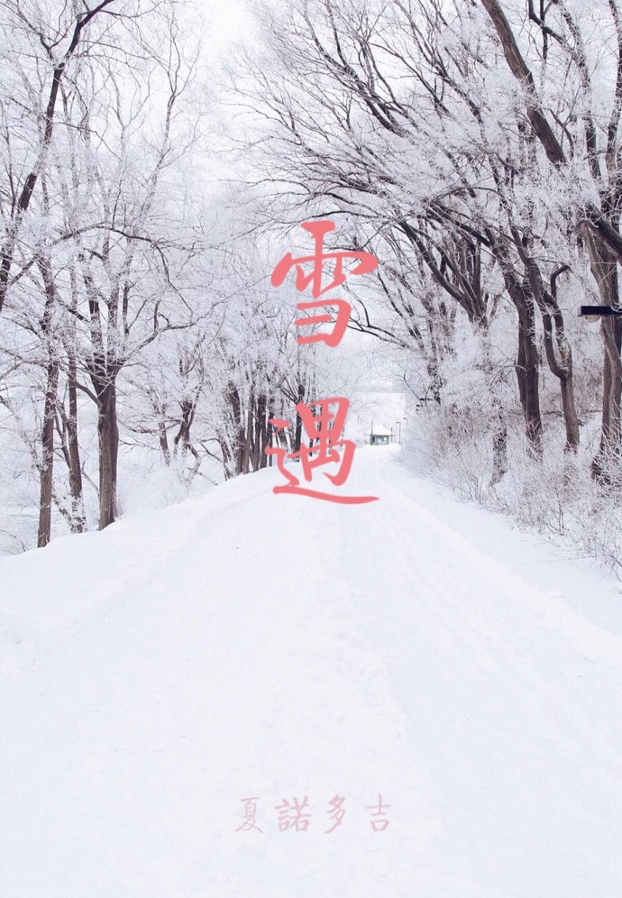 《雪遇》是连载于晋江文学城的一部爱情类网络小说,作者是夏诺多吉
