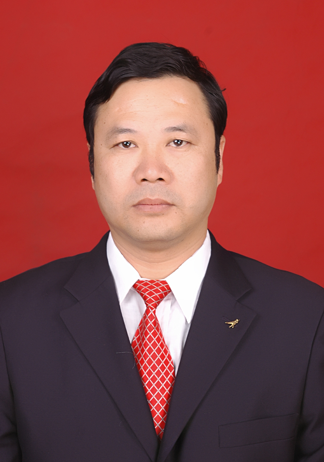  p>戴猛,现任云南省楚雄彝族自治州永仁县供销社党组书记,主任. /p>