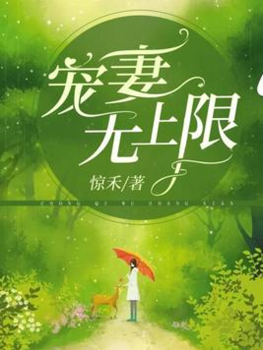 宠妻无上限
