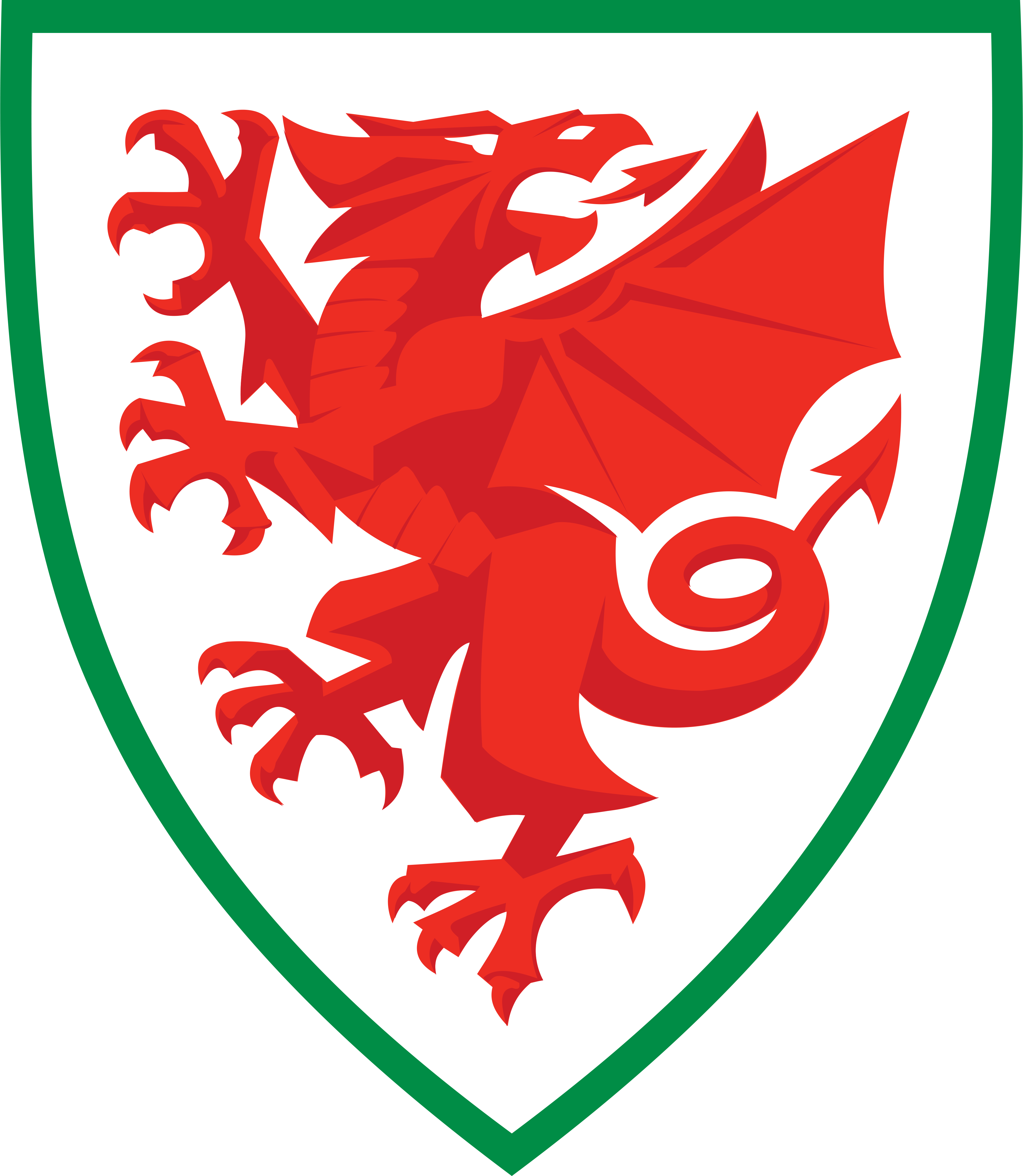 威尔士女子足球代表队