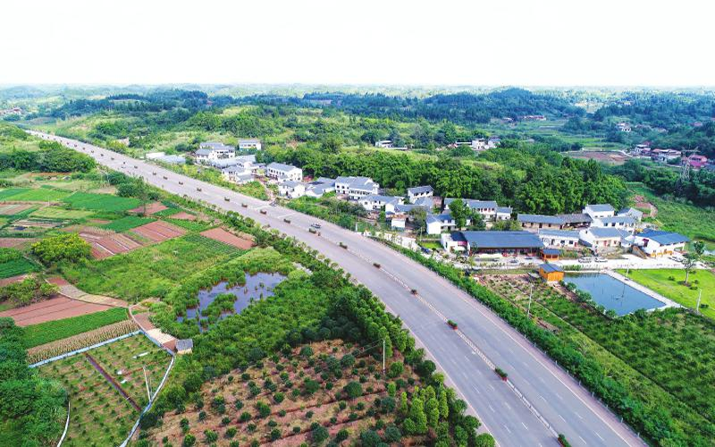  p>杨家镇,隶属于 a target="_blank" href="/item/四川/212569" data