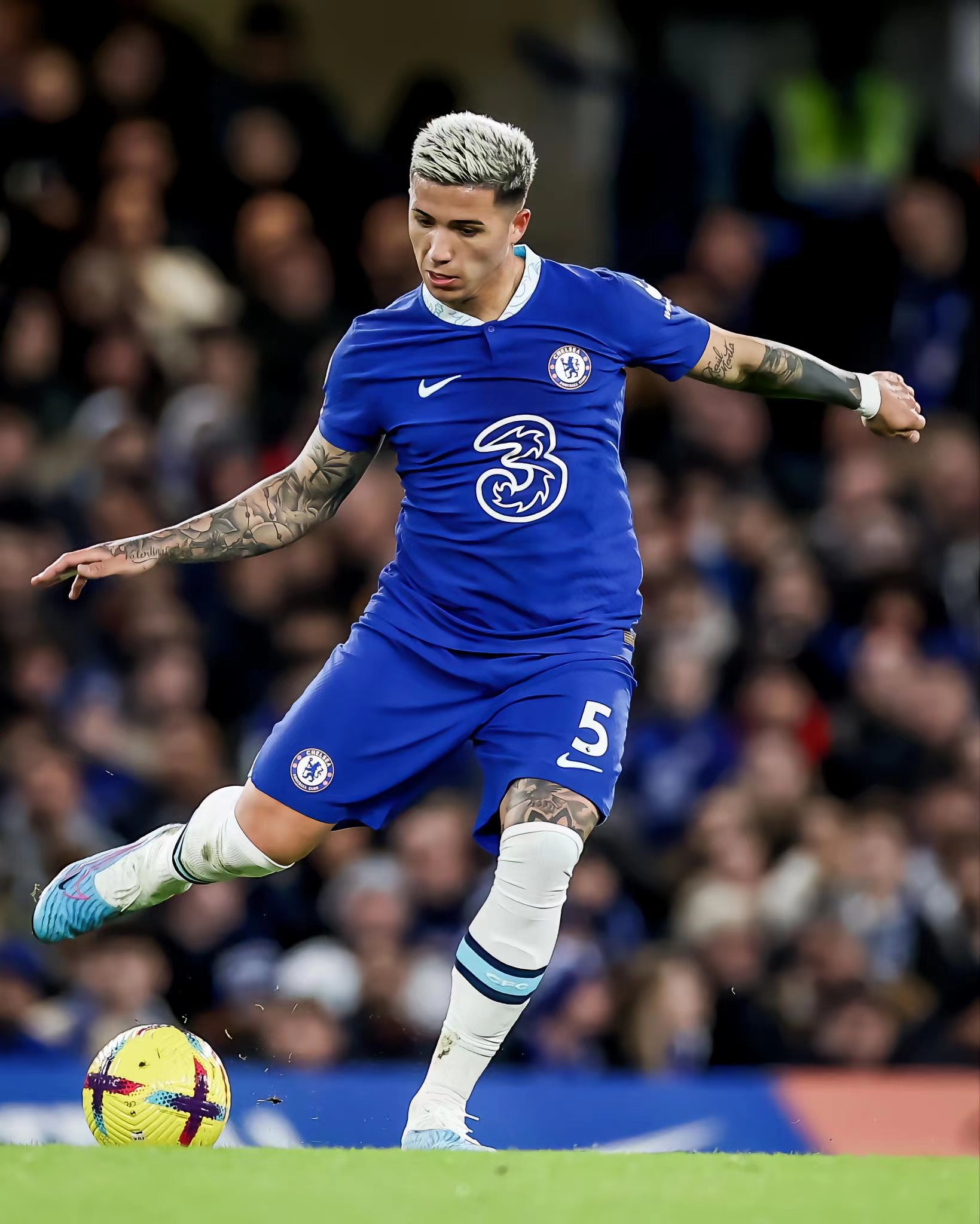 恩佐·费尔南德斯