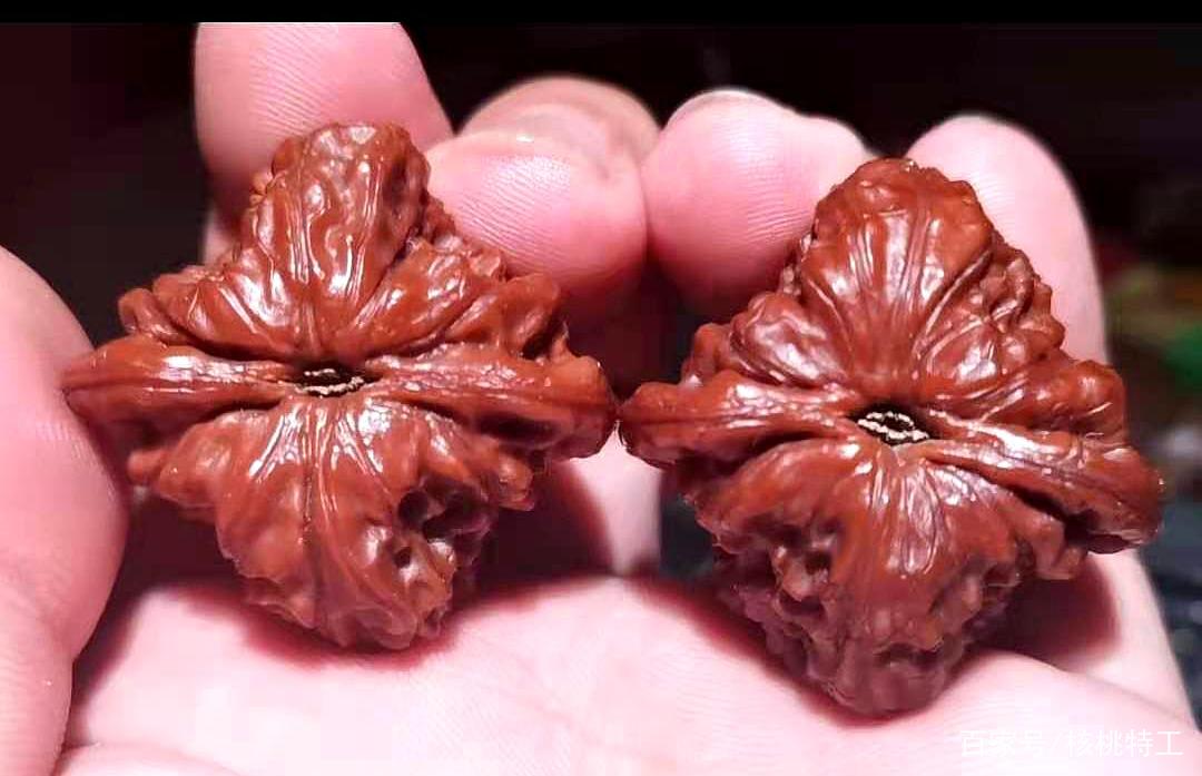 文玩堂：核桃（獅子毛）稀有品种