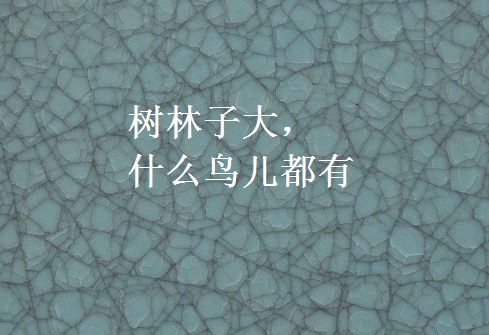 树林子大,什么鸟儿都有