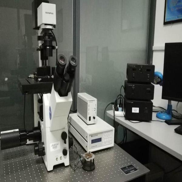 原子力扫描探针显微镜