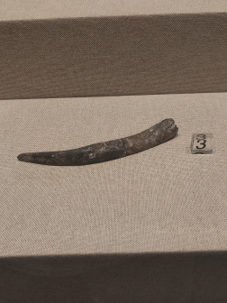 溧阳博物馆内藏品