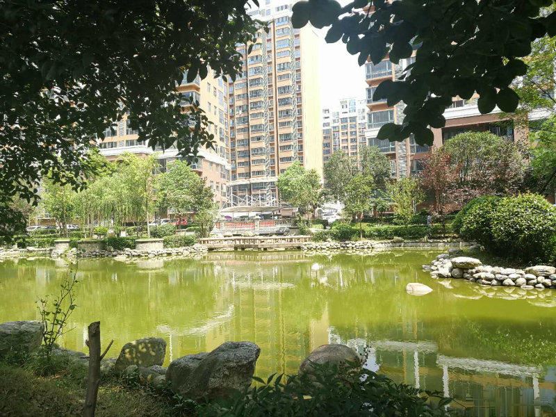  p>桂竹园,位于湖北省武汉市 a target="_blank"