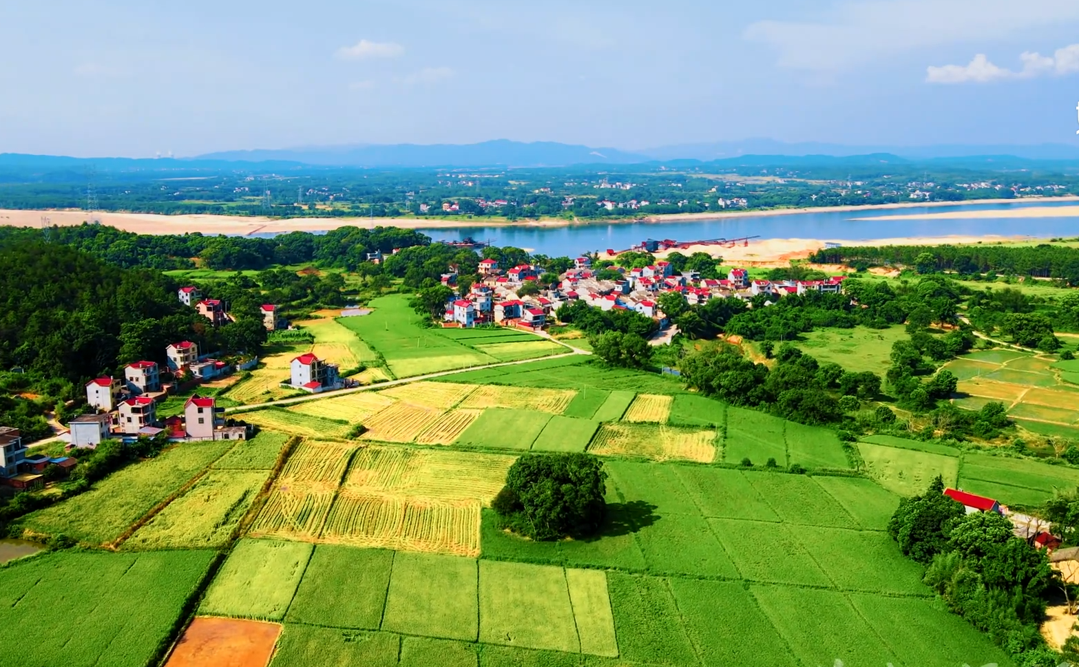  p data-id="gn31u8u5dx">江西省泰和县江畔村是 a target="_blank"