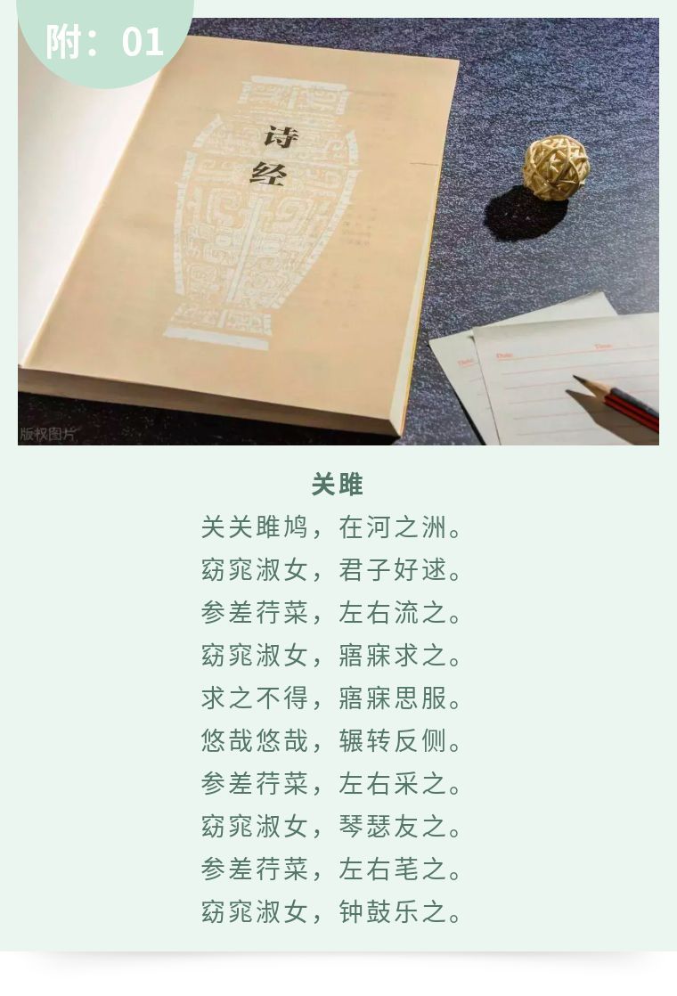 关关雎鸠，在河之洲：《诗经》第一篇究竟写的是一种什么鸟_百科TA说