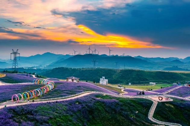 花溪高坡云顶花海