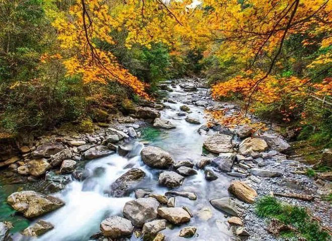 陕西千层河国家湿地公园