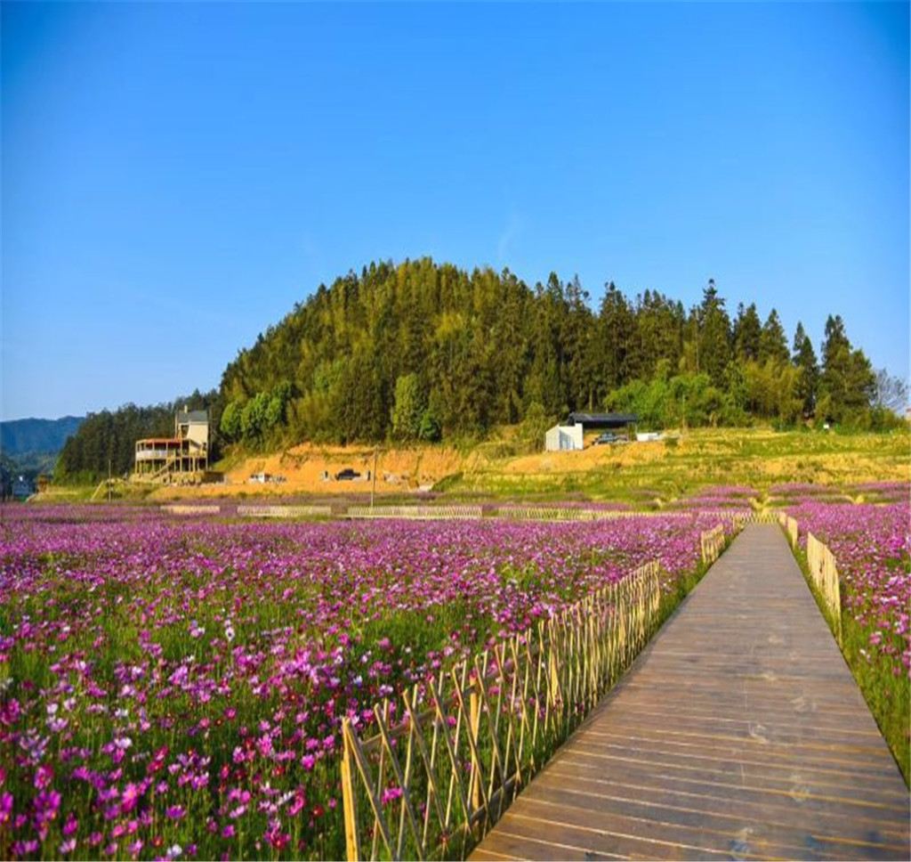  p>桃源里旅游度假区花海乐园位于三明市大田县桃源镇桃源村237号.