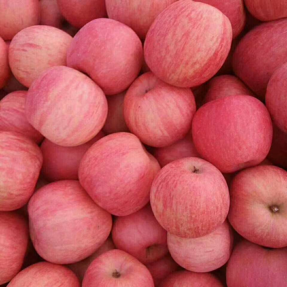 以着色好斗果形大的中熟新品系35-3(红玉×元帅)为父本杂交培育而成