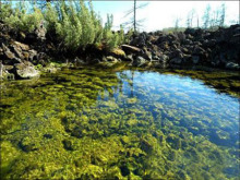 察尔森国家森林公园