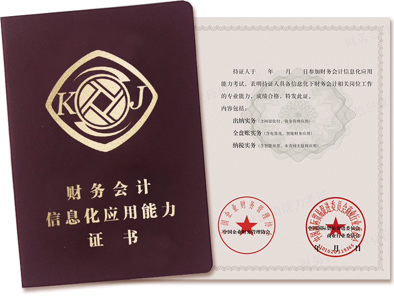 会计信息化证