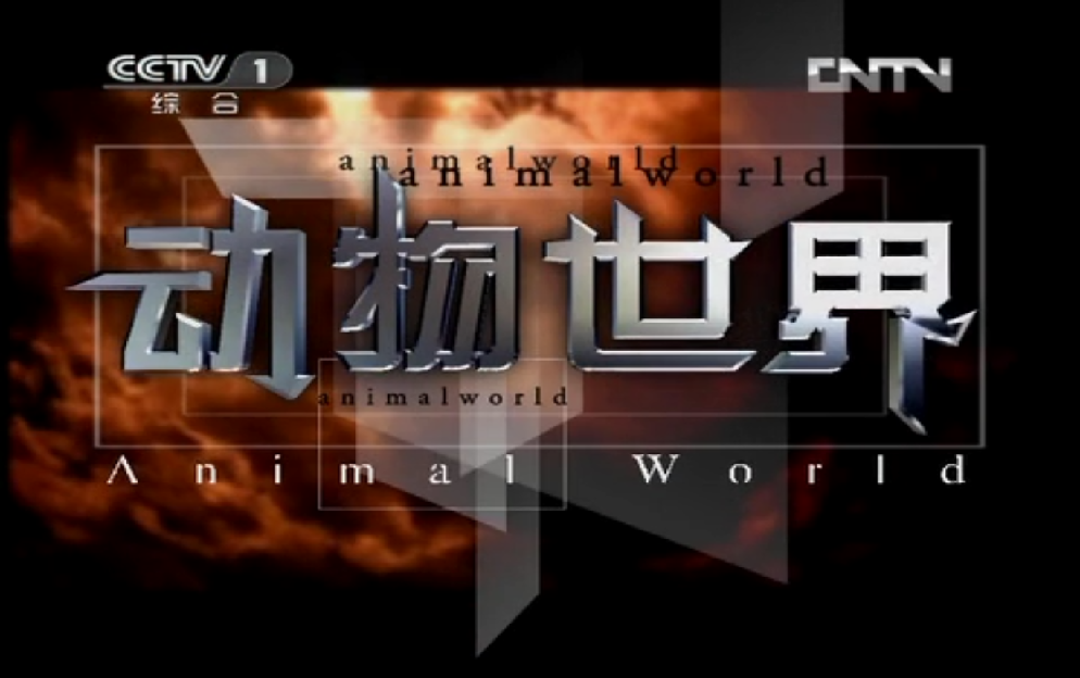 动物世界