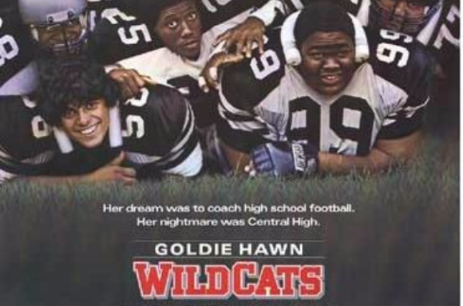 小野猫吃大老虎wildcats(1986)