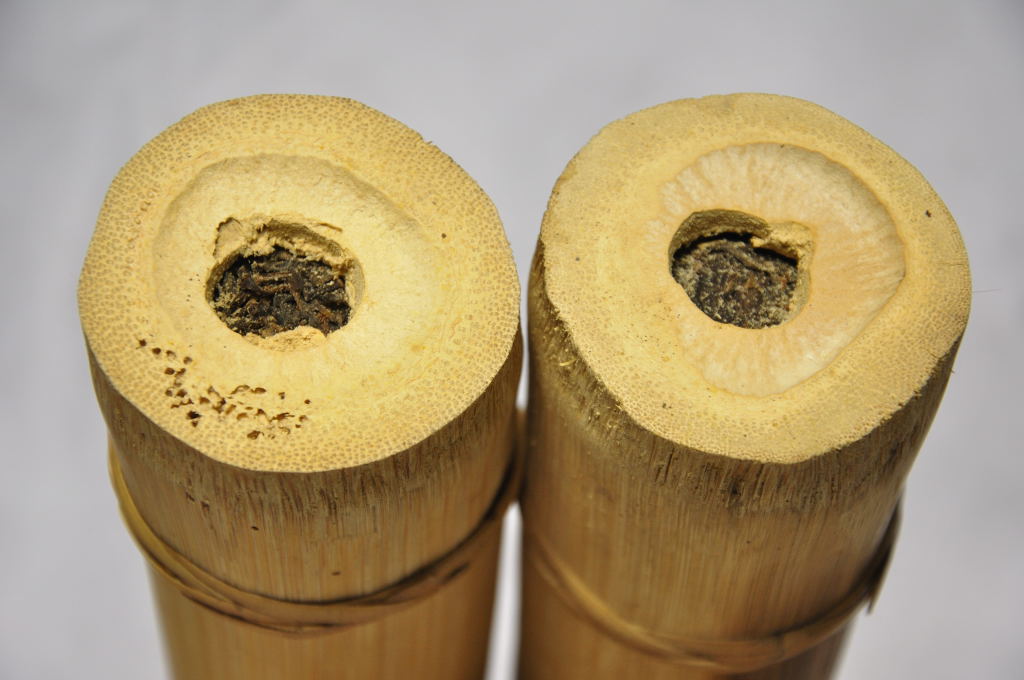 竹筒茶的主要特点是什么