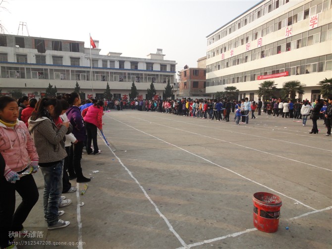 太和新星学校