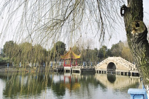  p>盛泽镇属于江苏省 a href="#">苏州市 /a> a href="#">吴江区 /a>