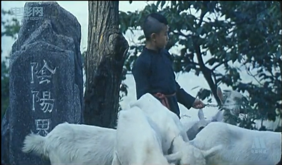  p data-id="gnwm1ex2p6">电影《寻仇阴阳界》,是一部比较出名的诡异