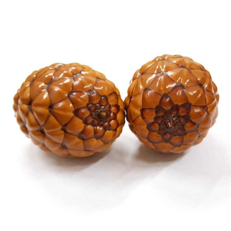  p>酒椰(学名: i>raphia vinifera /i> beauv.