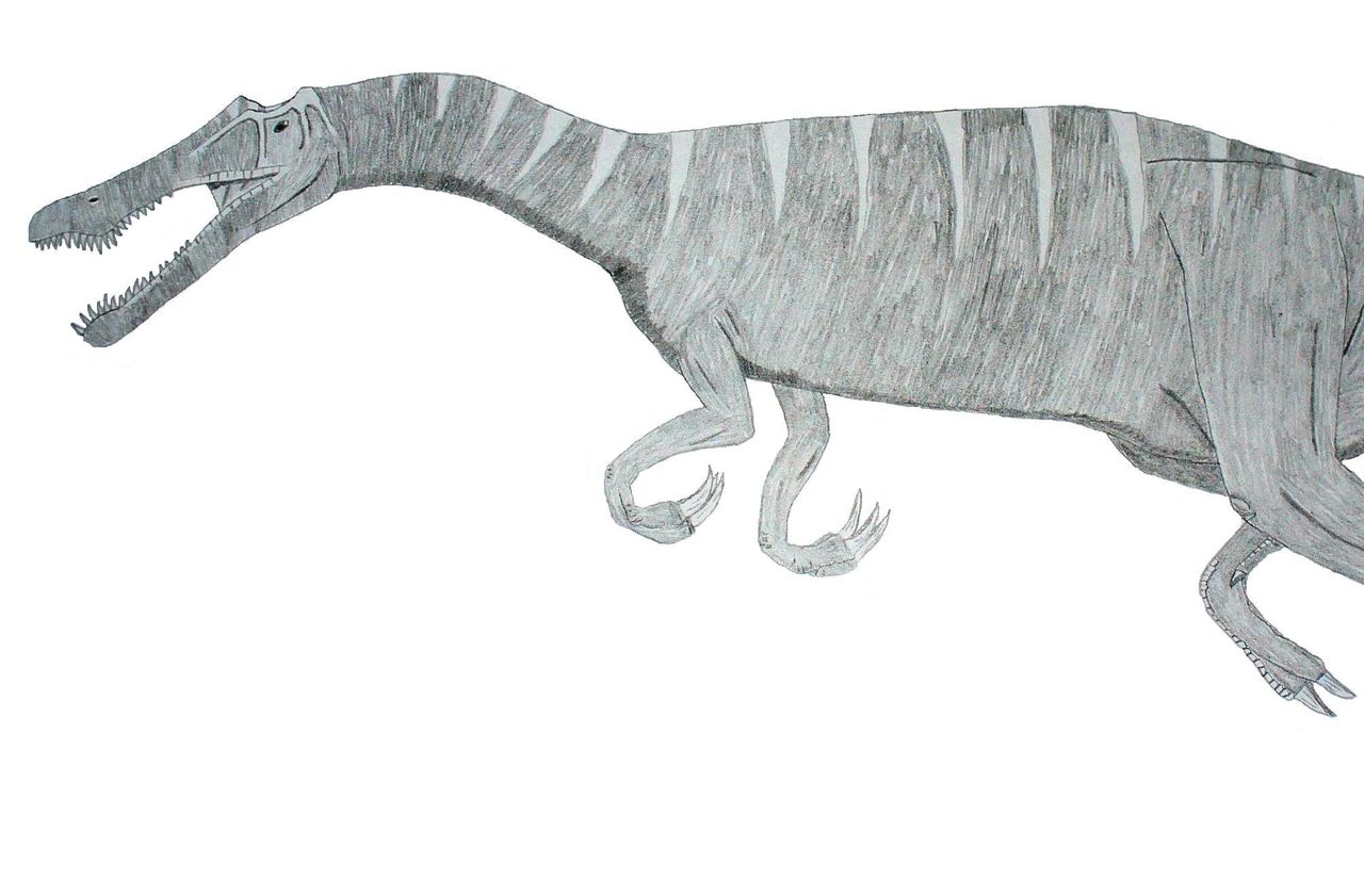 暹罗龙(siamosaurus)
