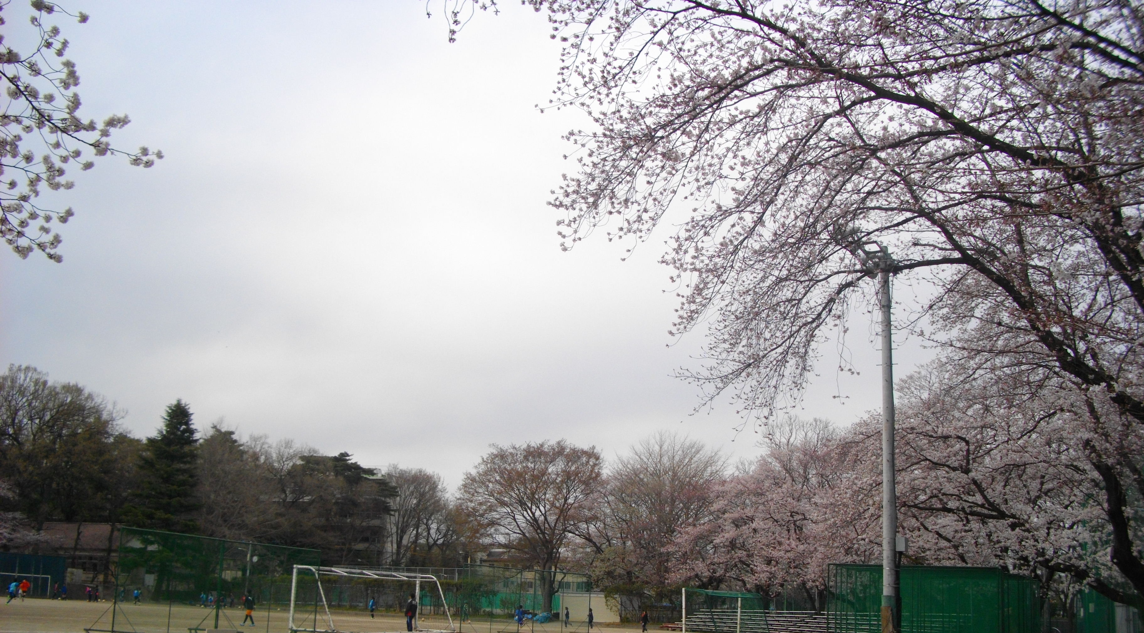  p>成城大学(英文:seijou university),创立于1950年,设立学部,又于