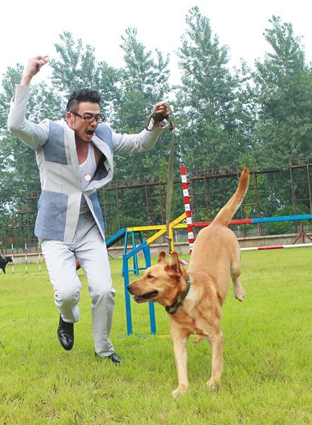 《 a target="_blank" href="/item/神犬奇兵/3353317" data-lemmaid=