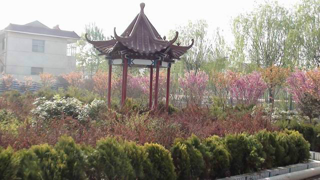  p>赣榆城南高级中学是一所三星级高级中学,位于县城南部(原城南乡