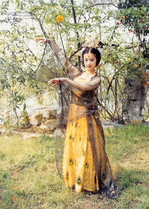  p data-id="gntsf56g2a">《西游记续集》是由中央电视台,中国电视剧