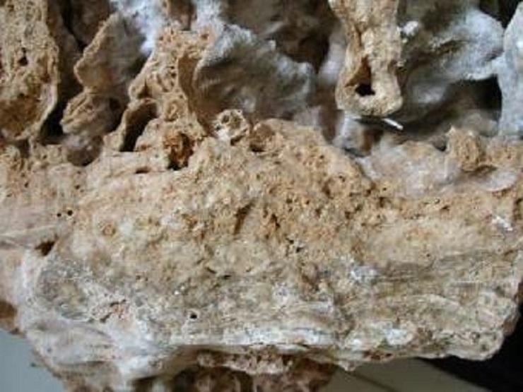 梦幻西游吸附石技能攻略如何提高成功率