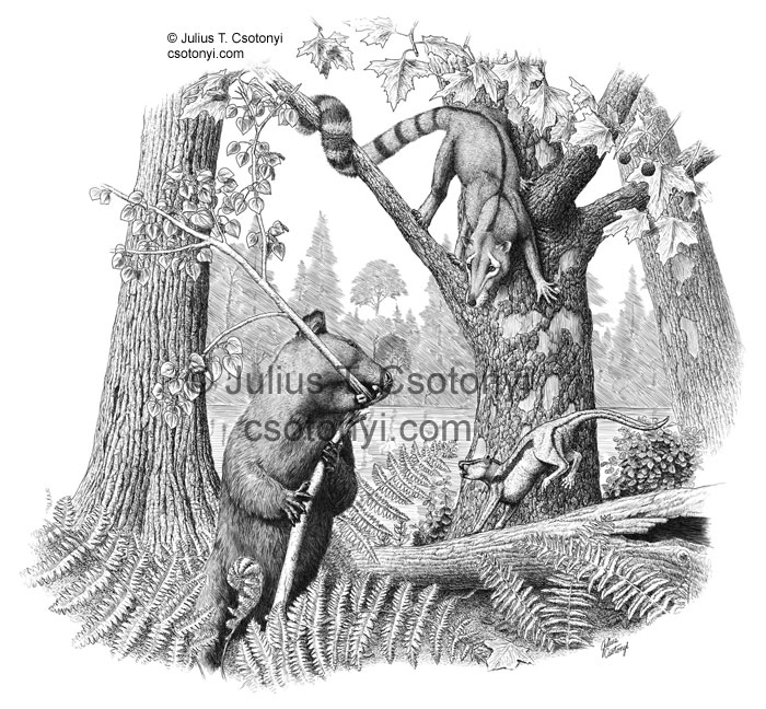  p>古中兽(chriacus)是已 a href="#" data-l