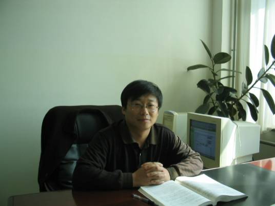 丁效华（哈尔滨工业大学（威海）数学系教授）_百度百科