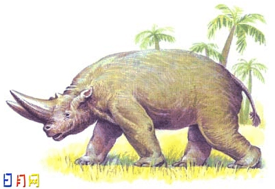 埃及重脚兽(arsnoitherium)