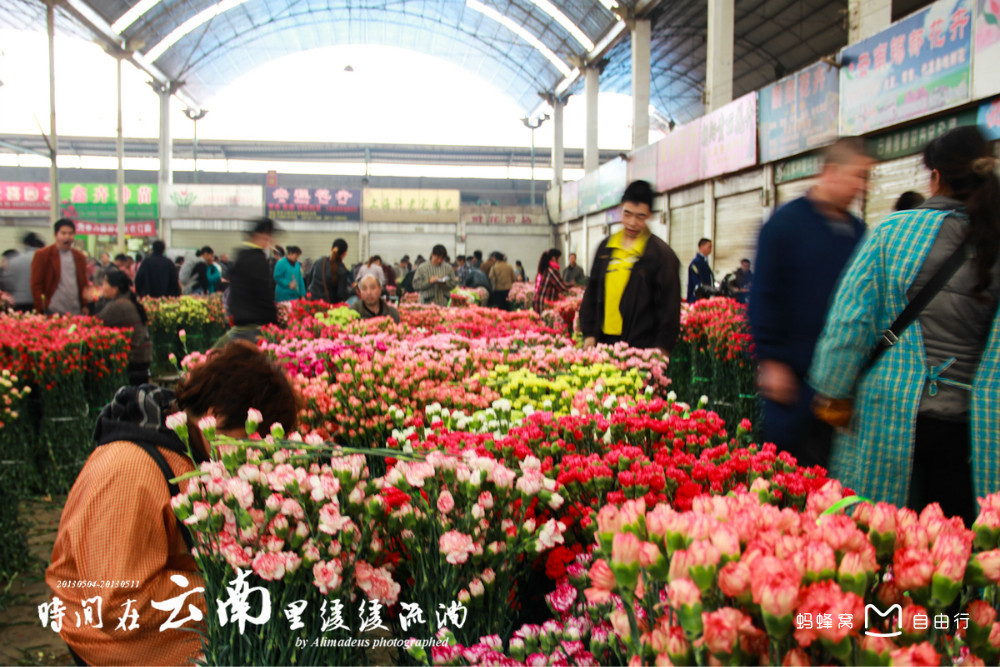  p>昆明斗南花卉市场毗邻昆明市呈贡区 a href="#" data-lemmaid="