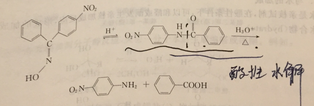 肟（有机化合物）_百度百科
