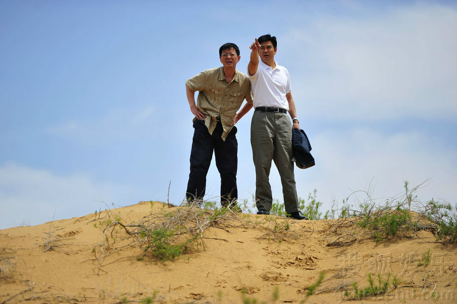 是一部描写北京企业家回乡寻找并开发频临灭绝的治沙树种野樱桃的故事