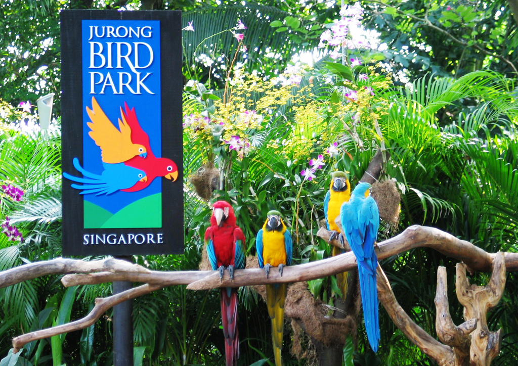  p>裕廊飞禽公园(jurong bird park)坐落在 a target="_blank" href="
